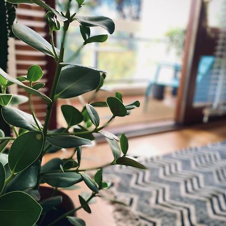 Design 110M2 2Br Terrace & Parking Near Center Appartement Aix-en-Provence Buitenkant foto