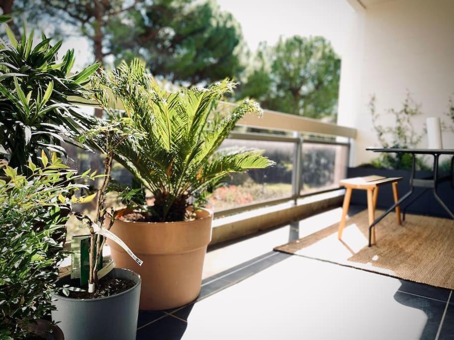 Design 110M2 2Br Terrace & Parking Near Center Appartement Aix-en-Provence Buitenkant foto