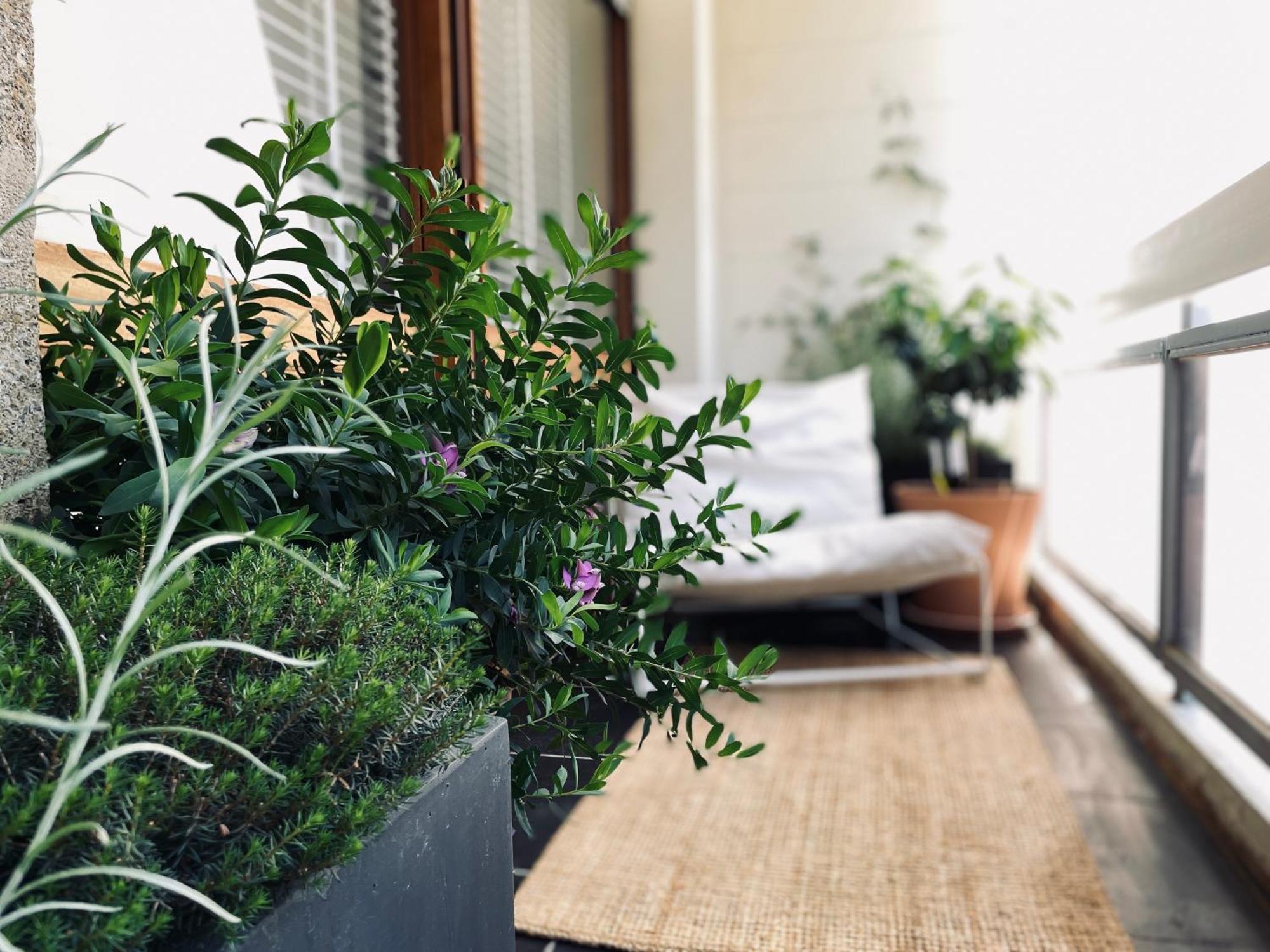 Design 110M2 2Br Terrace & Parking Near Center Appartement Aix-en-Provence Buitenkant foto
